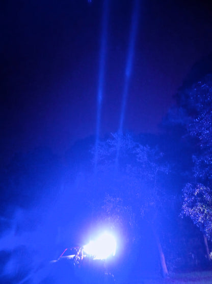 2ft whips with built in alien lights