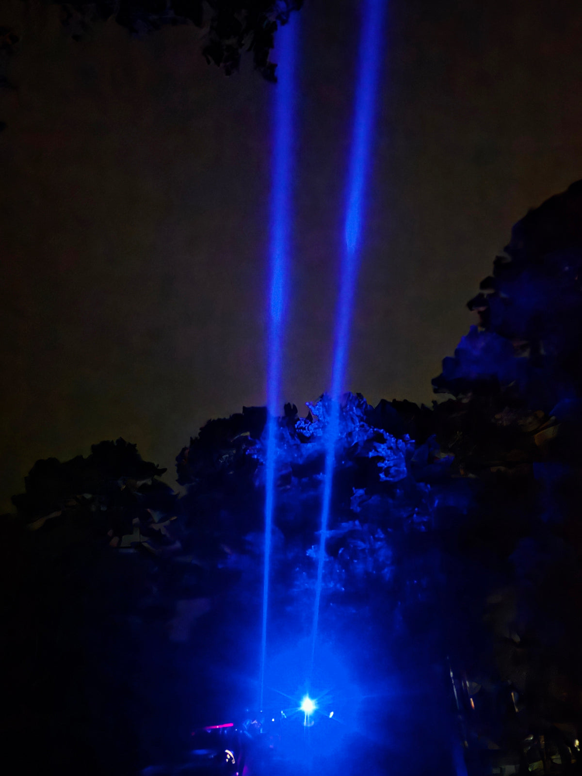 2ft whips with built in alien lights